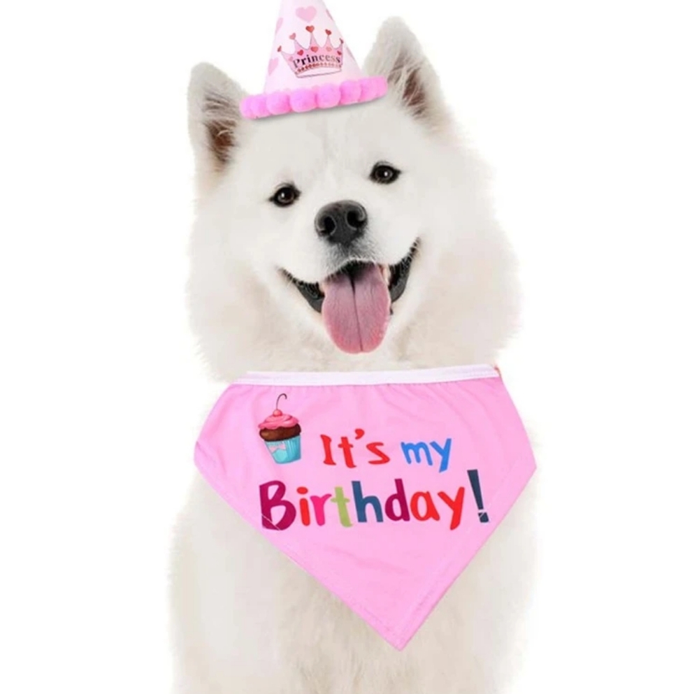 Dog birthday bandana set